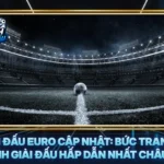 Lich Thi Dau Euro Cap Nhat Buc Tranh Toan Canh Giai Dau Hap Dan Nhat Chau Au