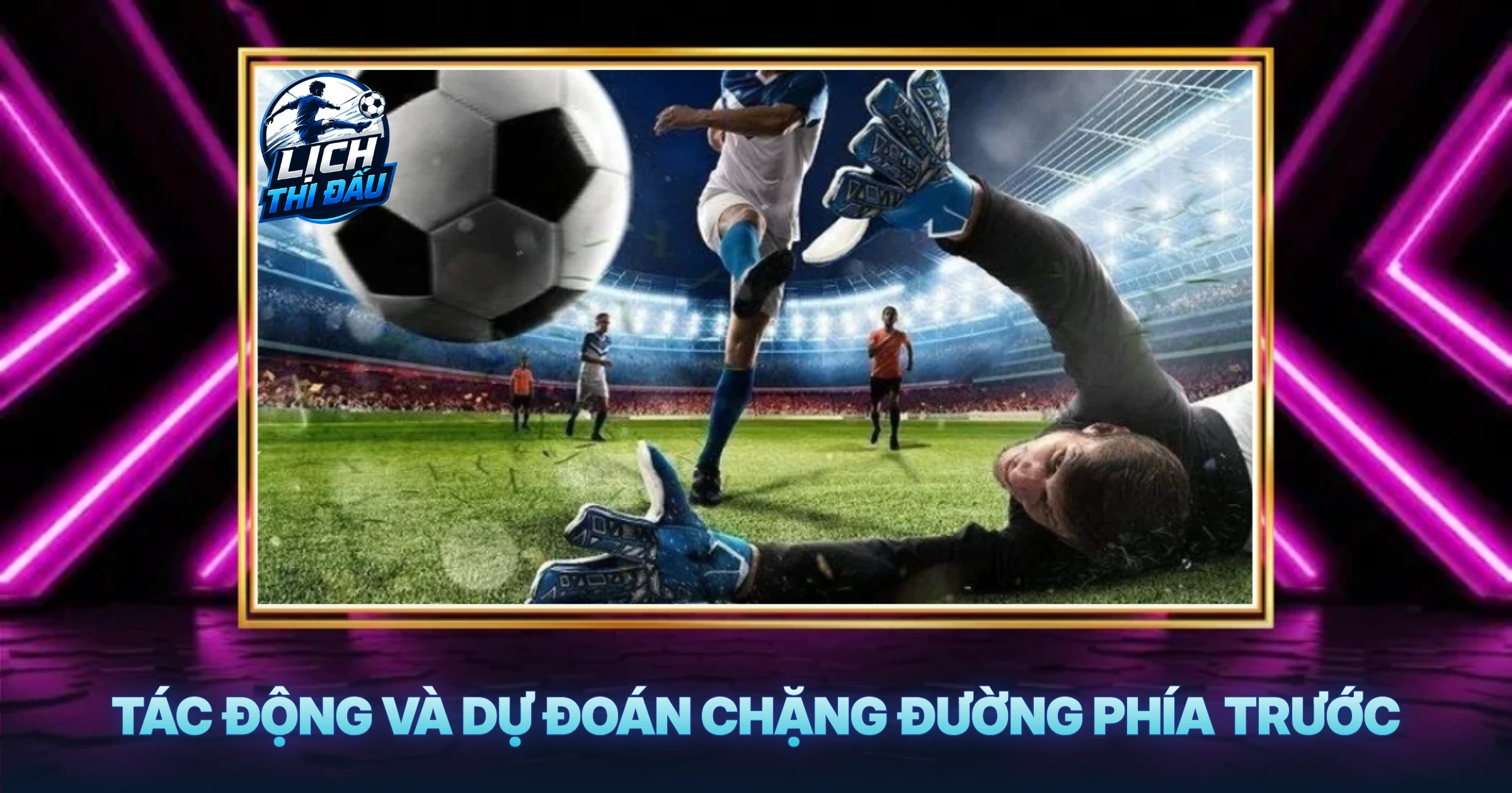 Tác Động Và Dự Đoán Chặng Đường Phía Trước